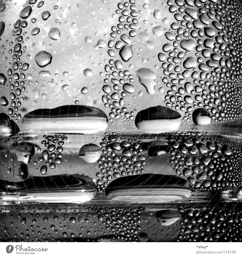 water drops Black White Gray Drops of water Light Glittering Cold Damp Wet Window Thirst-quencher Mirror Refreshment November Clouds Gastronomy Household Water
