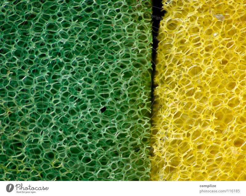 You old sponge you! Kitchen Cleaning Bathroom Yellow Green Cloth Macro (Extreme close-up) Do the dishes Interlaced Strange Obscure Exceptional Cleaning agent