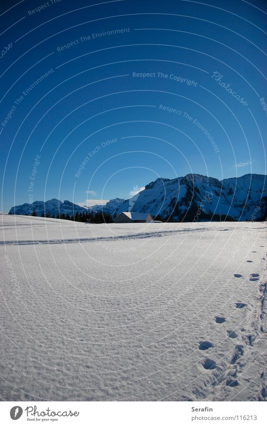 hut magic Winter December Cold Winter sun Winter sports Snow Ice Tracks Lanes & trails Hut Alpine pasture