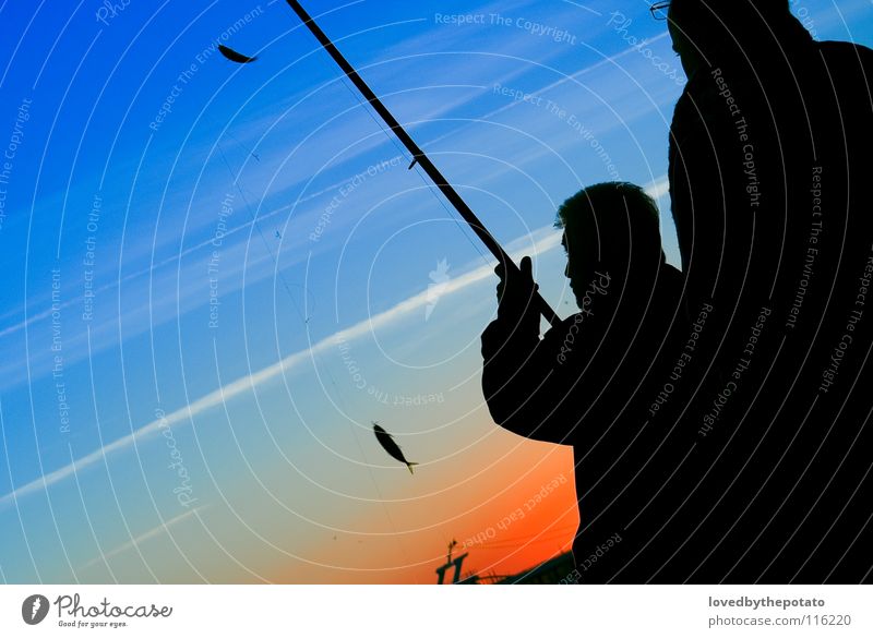 Angler Silhouette Fishing (Angle) Istanbul Sunset Leisure and hobbies Clouds Ocean Ortaköy Sky