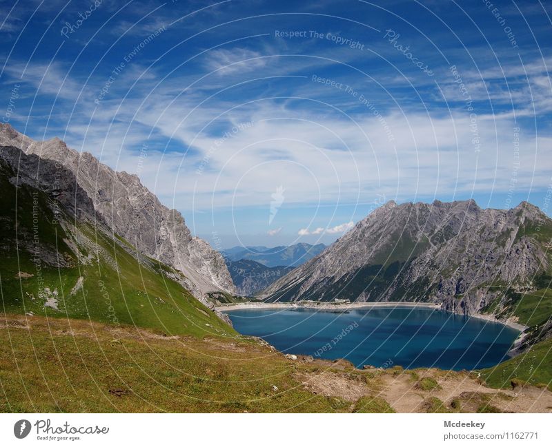 seaside idyll Environment Nature Landscape Plant Water Sky Clouds Sun Summer Beautiful weather Warmth Grass Bushes Foliage plant Wild plant Meadow Alps Mountain