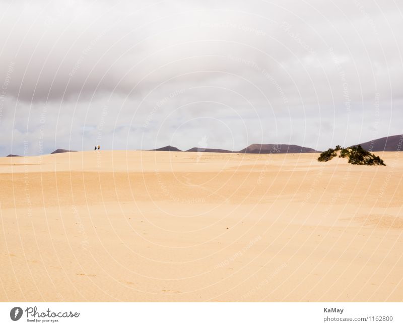 endless expanse Human being 2 Nature Landscape Sand Clouds Drought Mountain Beach Dune Hiking Famousness Gigantic Natural Yellow Gold Power Trust Romance