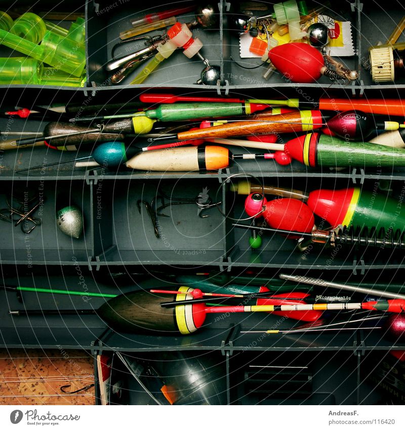 Fisherman is Empty Fish from Net in His Small Boat Stock Image - Image of  pile, green: 187875073