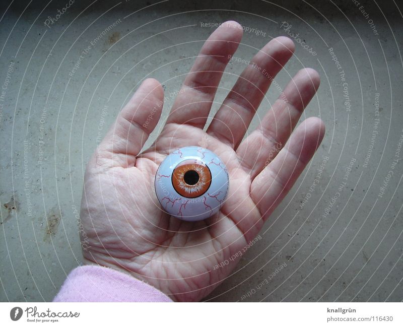 phoney Hand Palm of the hand Pupil Fingers Line on the hand Transience Obscure Eyes brown eye