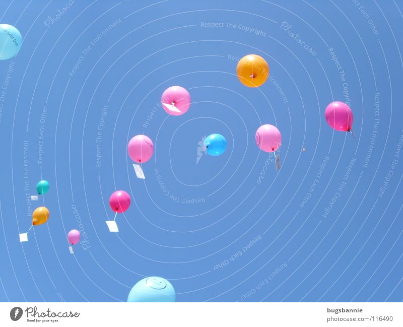 balloons Balloon Pink Multicoloured Airmail Playing Leisure and hobbies Joy Sky Flying Blue Aviation Sporting event let fly Tall