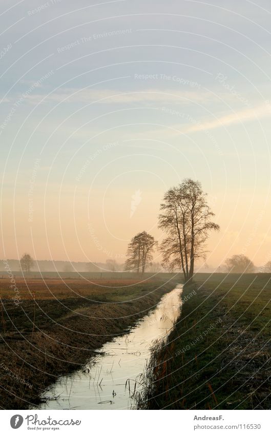 dawn Morning Morning fog Sunrise Brook Cold Autumn October November December Winter Fog Misty atmosphere Tree Meadow Dew Diagonal Frozen Landscape Red sky River