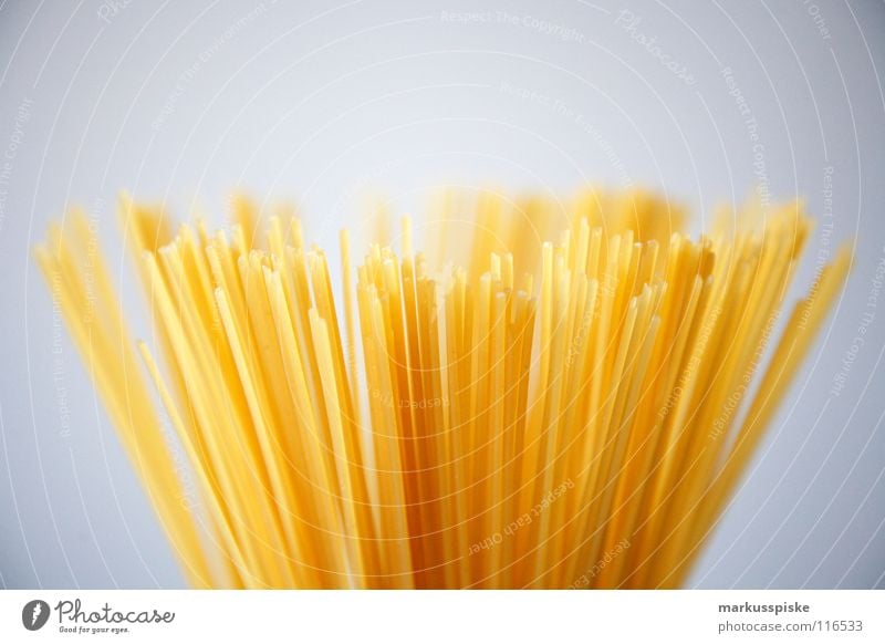 pasta Noodles Spaghetti Dough Rod Long Thin Italy Yellow Flour Vegetarian diet Structures and shapes Egg
