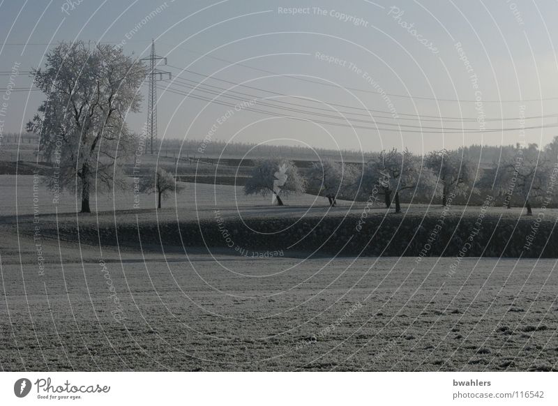 icy country Cold Winter Hoar frost White Beautiful Tree Ravensburg Structures and shapes Snow Ice Shadow Landscape Sky Frost