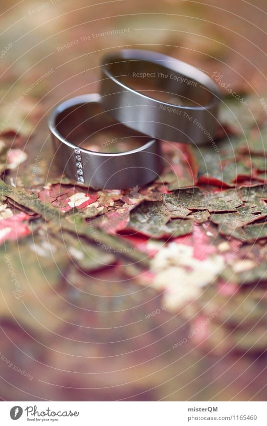 Wedding rings II Art Esthetic Contentment Ring Wedding ceremony Wedding party Together Attachment Symbols and metaphors Rust Colour photo Subdued colour