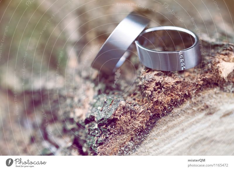 Wedding rings I Art Esthetic Contentment Ring Wedding ceremony 2 Together Tree trunk Decent Romance Colour photo Subdued colour Exterior shot Detail