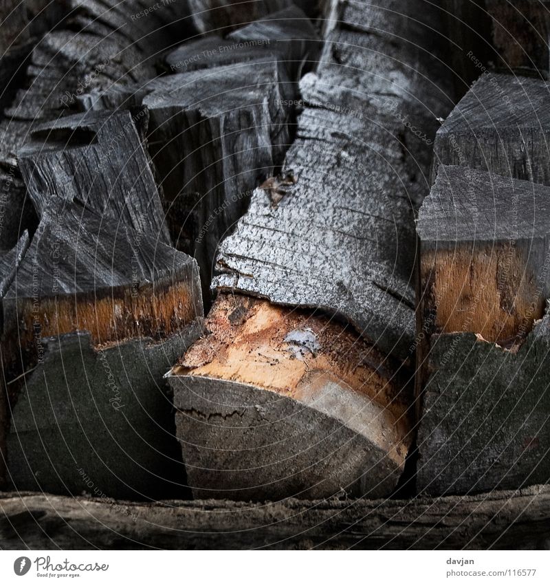 Wood in front of the hut Brown Gray Black Thread Tree bark Weather Macro (Extreme close-up) Close-up Tree trunk Structures and shapes