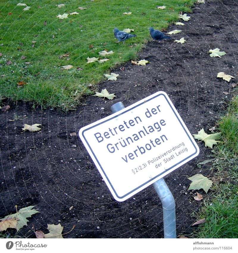 criminal Pigeon Bans Grass Park Criminality Lawn Signs and labeling