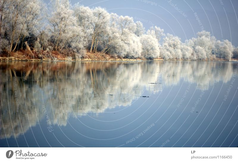 Riverbank Nature Landscape Earth Air Water Cloudless sky Weather Beautiful weather Ice Frost Tree Forest Coast Lakeside River bank Mures River frozen trees