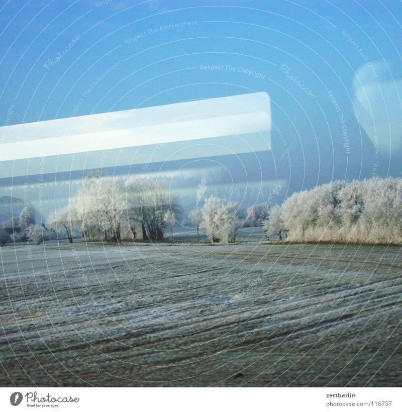 Rail journey to the north 7 Tree Bushes Winter Hoar frost Immature Railroad Train window Overhead line Light Lamp Reflection Driving Passage Field