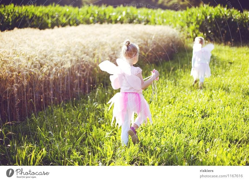 feensommer ii Human being Feminine Child Girl Brothers and sisters Sister Infancy 2 3 - 8 years Environment Nature Landscape Sunlight Summer Beautiful weather