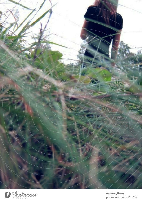 haunted. Grass Black Doomed Loneliness Field Meadow Fear Panic