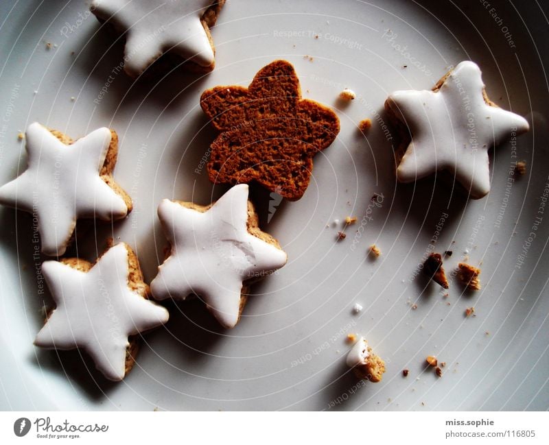 cinnamon stars two Colour photo Interior shot Plate Well-being Delicious Sweet Happiness Warm-heartedness To enjoy Stagnating Moody Contentment Crumbs