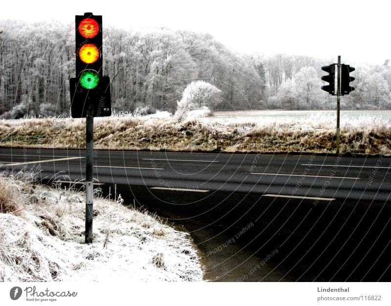 traffic light Red Yellow Green Traffic light Winter Forest Multicoloured Transport Crazy Orange Snow Street Hoar frost Contrast Landscape crackers Funny amp