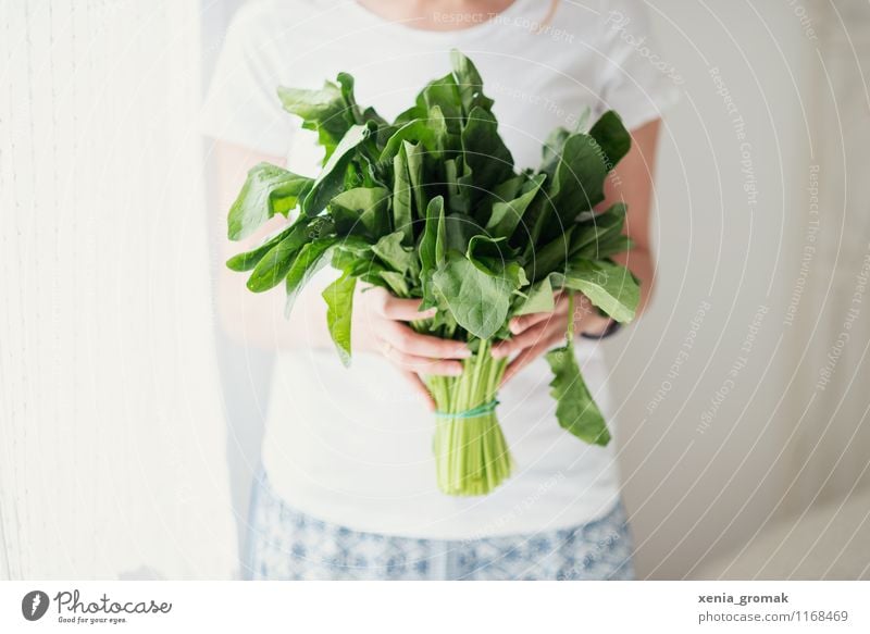 spinach Food Vegetable Lettuce Salad Nutrition Organic produce Vegetarian diet Diet Lifestyle Beautiful Healthy Medical treatment Alternative medicine