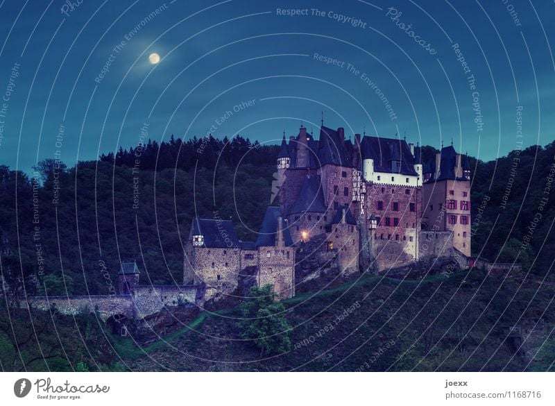 The spook begins. Landscape Sky Night sky Full  moon Beautiful weather Forest Mountain Castle Wall (barrier) Wall (building) Old Large Historic Tall Blue Brown
