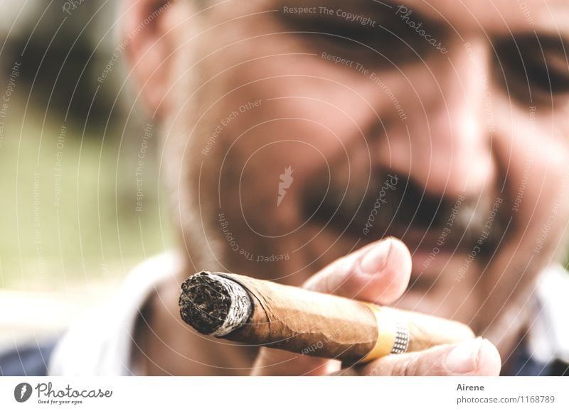 our man in Havana Luxury Smoking Tourism Masculine Man Adults Face Facial hair Fingers 1 Human being 45 - 60 years Cuba Cigar smile luck Brown Contentment