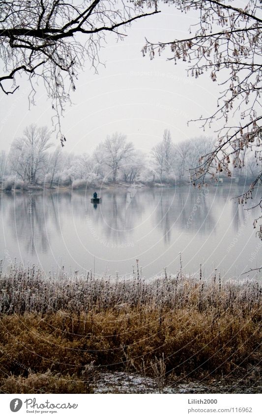 Alone on the lake Lake Pond Winter Tree Cold Angler Fishing (Angle) Fishing rod Watercraft Rowing Grass Brown Beige White Mirror Clarity Snow Frost Ice Twig