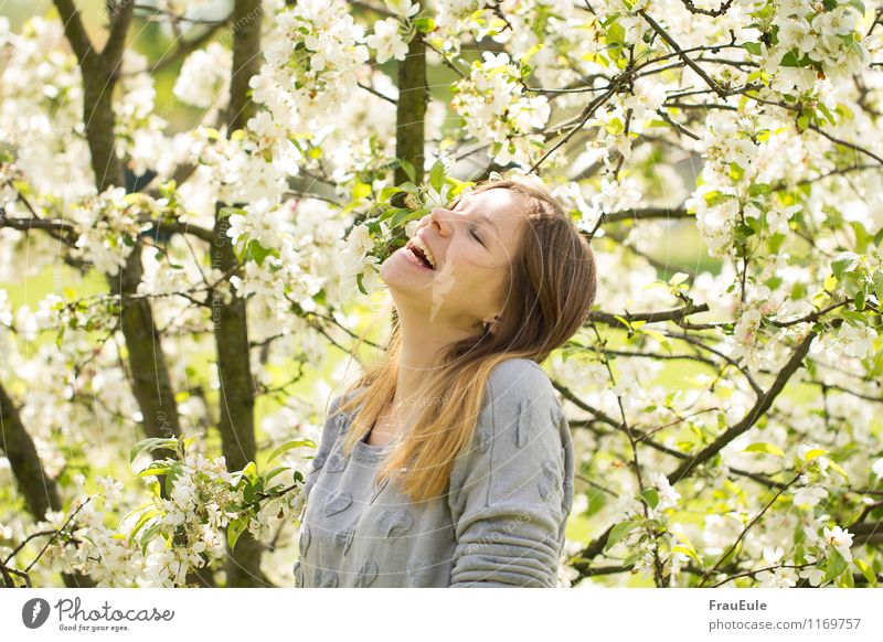 laughing under the blossom tree Joy Happy Feminine Young woman Youth (Young adults) 1 Human being 18 - 30 years Adults Nature Plant Sun Spring Beautiful weather