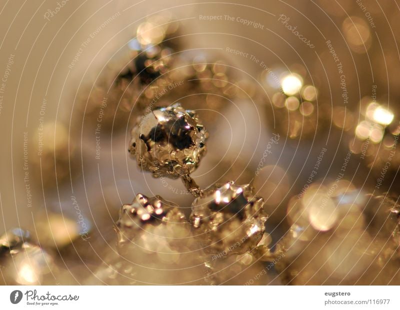 Goldeneye Jewellery Platinum Glittering Christmas & Advent Star (Symbol) Chain Silver