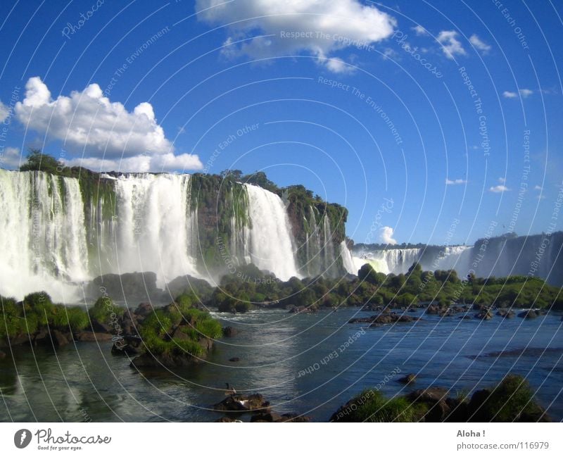 Brazilian Temperament II Current Slope Argentina Art Torrents of water Plant Body of water Tourism Tree Clouds Horizon Drops of water Tourist White crest Fog