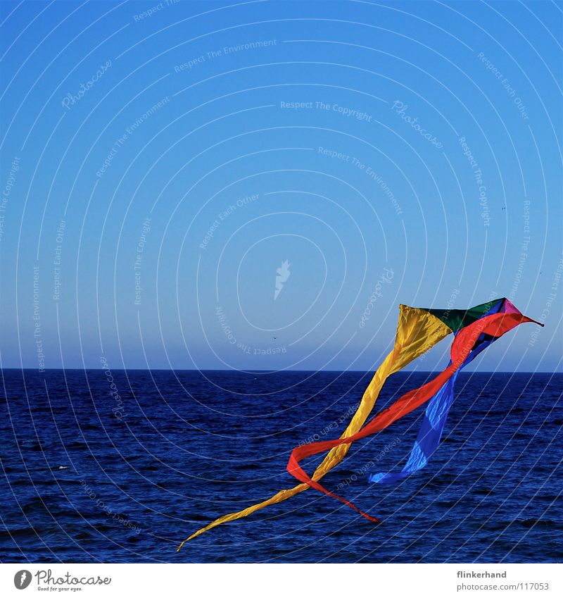 Go to her and fly your kite... Dragon Multicoloured Ascending Go up Red Yellow Green Cold Fresh Strong Wind Deep Salty Ocean Horizon Lake Coast Beach