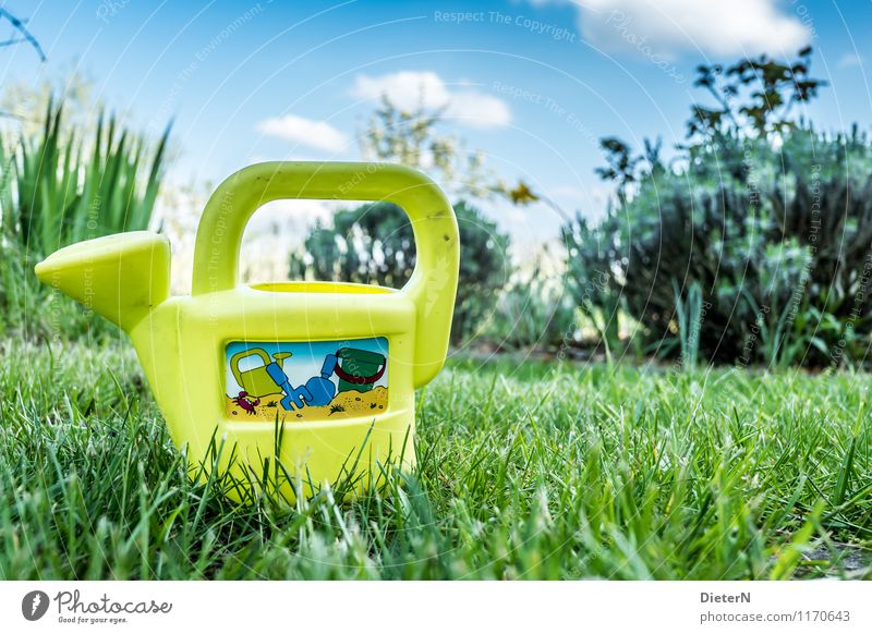 can Sky Plant Flower Grass Bushes Blue Yellow Green Toys Watering can Lawn Garden Colour photo Multicoloured Exterior shot Deserted Copy Space right Day