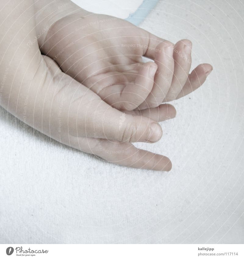 siesta Hand Child Children`s hand Baby Toddler Sleep Calm Relaxation Bed Horizontal Dream Pyjama Sleeping bag Duvet Delicate Caresses Soft Vulnerable Fingers