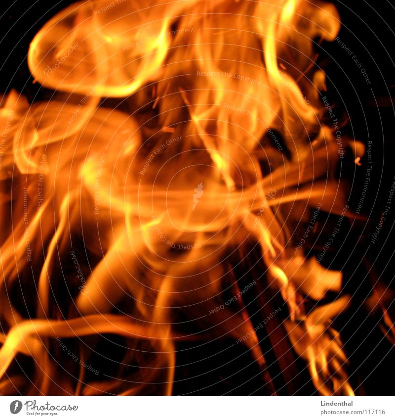 Flemish Blaze Physics Hot Red Dangerous Fire Flame Warmth Fireplace Orange danger Pain chilie