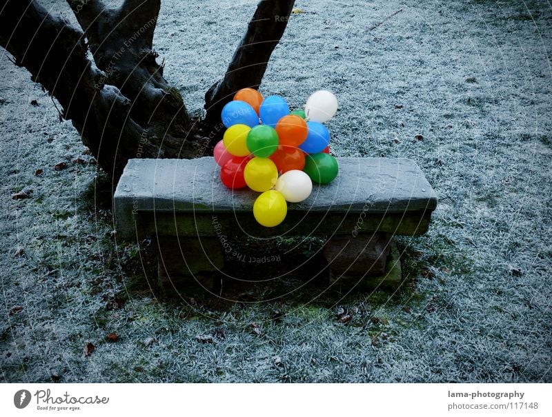 99 - Balloons Multicoloured Gaudy Contrast Physics chill Ice Winter Park Park bench Seating Meadow Stone bench tree Fill Loneliness weaker Past Memory Planning