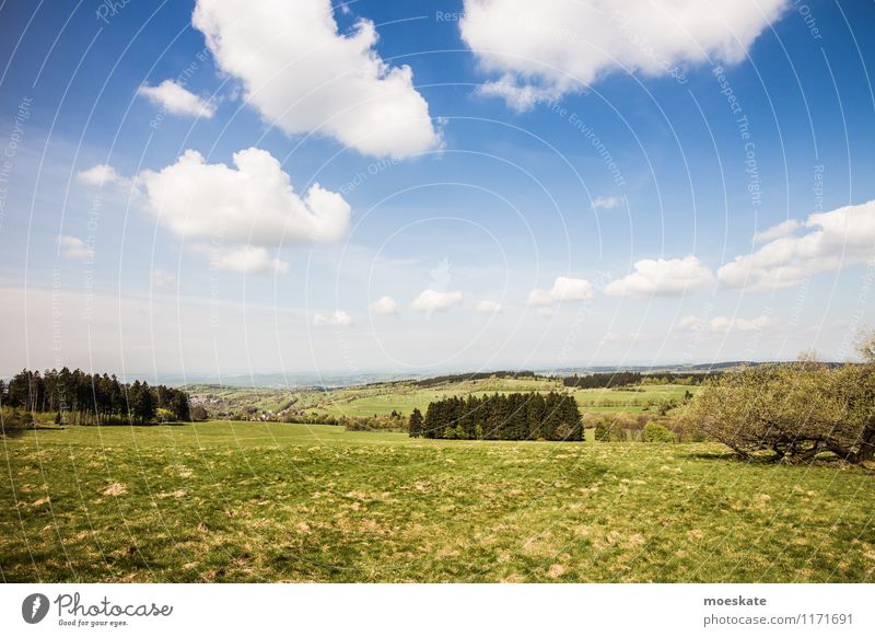 On the Vogelsberg Landscape Sky Clouds Summer Beautiful weather Tree Grass Field Hill Mountain Blue Green Hesse To go for a walk Trip Nature Colour photo