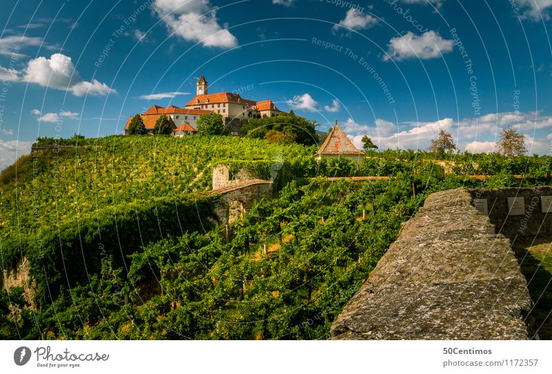 castle riegersburg steiermark Tourism Trip Nature Clouds Summer Beautiful weather Garden Meadow Field Wine growing Federal State of Styria Austria Castle