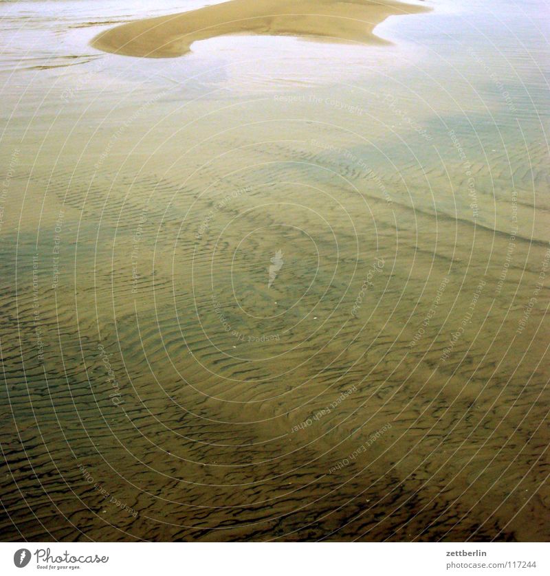 treasure island Ocean Beach Coast Sandbank Erosion Vacation & Travel Waves Surface of water Curls crash slope gleithang Water Wind Landscape Weather Climate