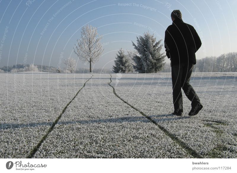 Next to the track Cold Winter Hoar frost Loneliness White Man Beautiful Tree Ravensburg Structures and shapes Snow Ice Tracks Walking Shadow Landscape Sky Frost