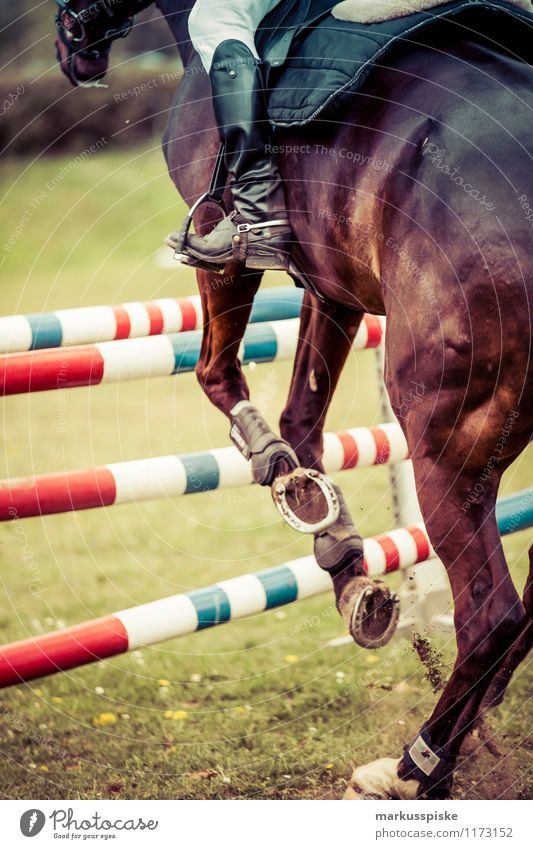show jumper Leisure and hobbies Equestrian sports Sporting event Success Man Adults Horse Walking Jump Esthetic Athletic Power beam barricade cavalier drop