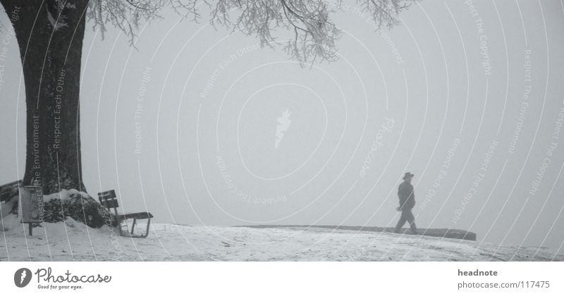 hibernation Winter Fog Tree Hiking Cold White Places Calm Man Gloomy Bucket Coat Transport Bench Loneliness Frost Snow Branch Hat