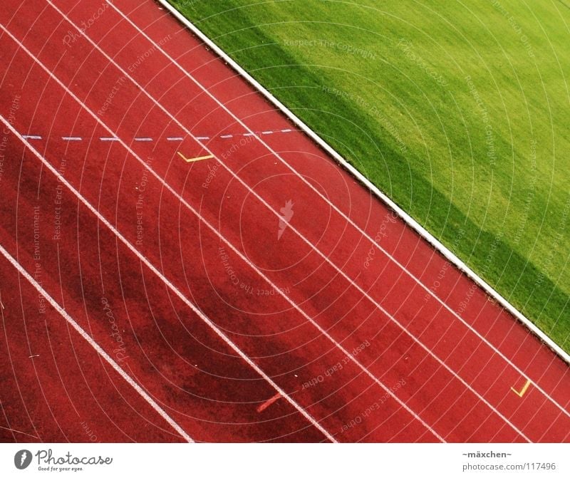 3...2...1...go! *Bang! Where'd everybody go? Racecourse Stadium Track and Field Red Green White Tracks Tilt Hundred-metre sprint Jogging Endurance Thrashing