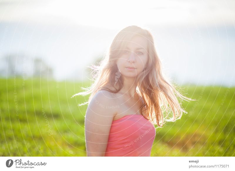 morning sun Feminine Young woman Youth (Young adults) 1 Human being 18 - 30 years Adults Environment Nature Summer Beautiful weather Blonde Long-haired Natural