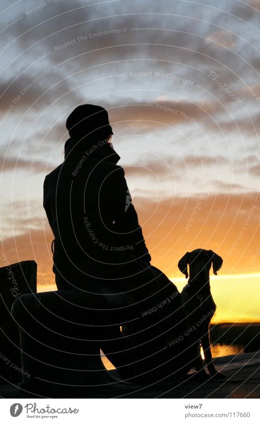 silhouette Silhouette Dog Woman Black Sunset Light Portrait photograph Progress Direction Horizon Contour Romance Vacation & Travel Night Mammal Shadow Sky Head