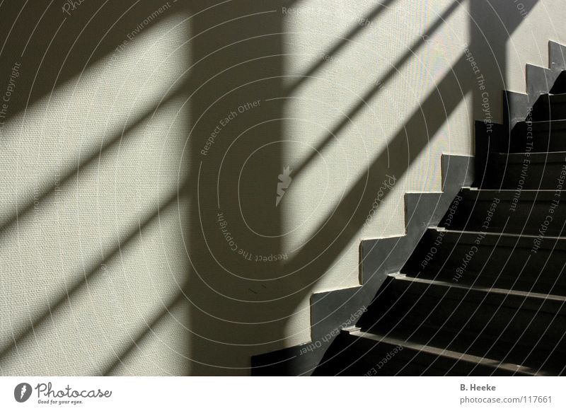 upstairs Graphic Pattern Upward Downward Triangle Staircase (Hallway) Stairs Shadow Prongs Hüfferstiftung