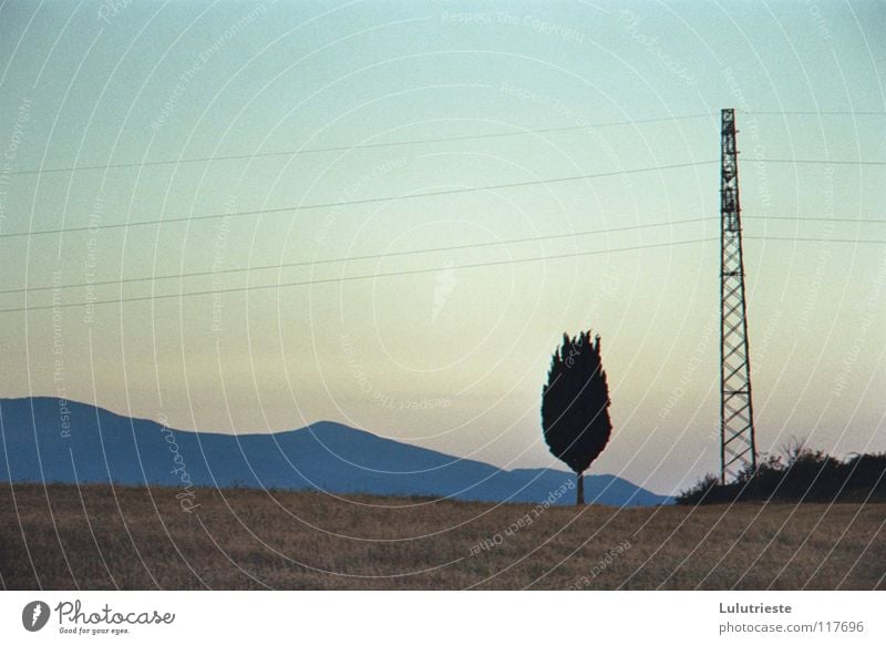Under the Tuscan sun Tree Pink Light blue Electricity pylon Romance Free Sunrise Sunset Emotions Leisure and hobbies Mountain Landscape Sky Far-off places