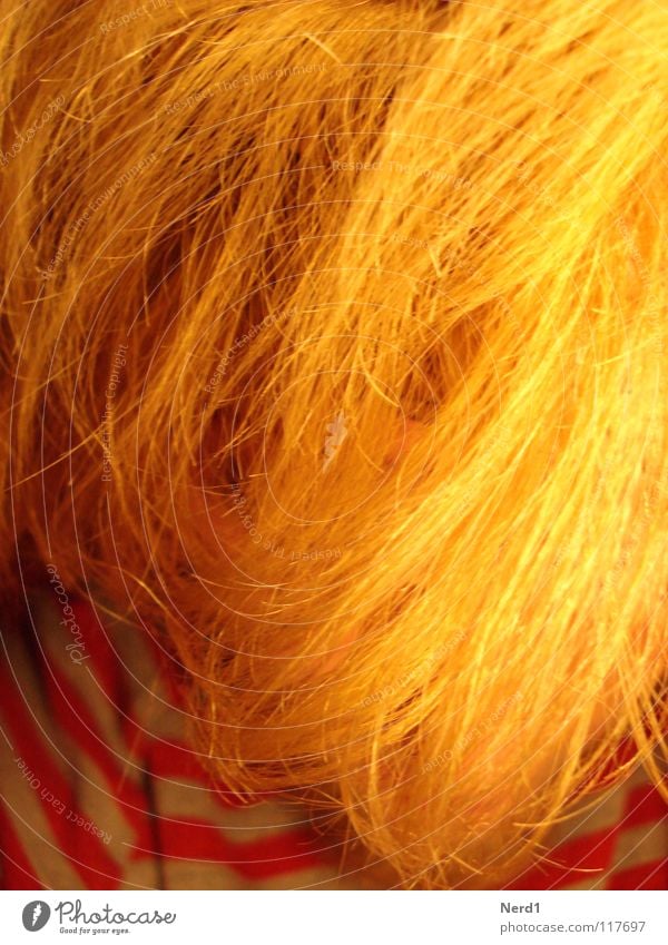 Yellow hair Blonde Man Obscure Hair and hairstyles Men's hair Long-haired Faceless Anonymous Unidentified Unrecognizable Strand of hair Hair structures
