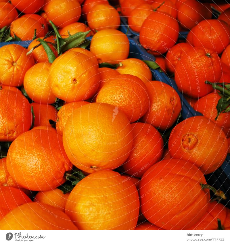 orange case Citrus fruits Orange Orange juice Vitamin Fresh Vitamin C Fruit Summer Nature raspberryoni