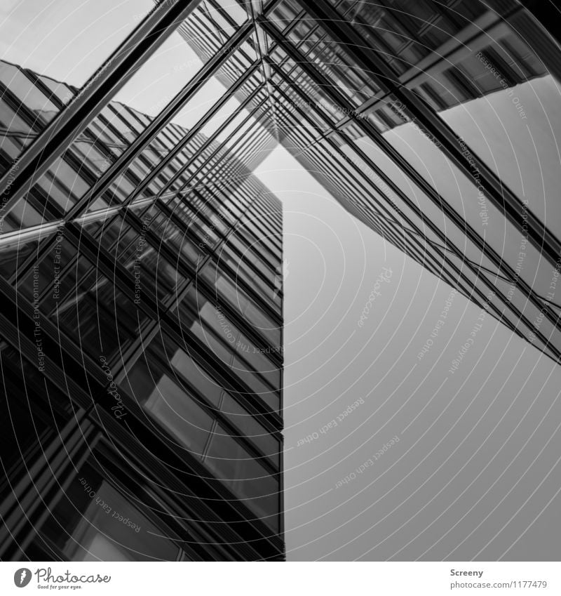 High up #6 Town High-rise Building Architecture Facade Window Glass Metal Tall Growth Black & white photo Exterior shot Deserted Day Reflection