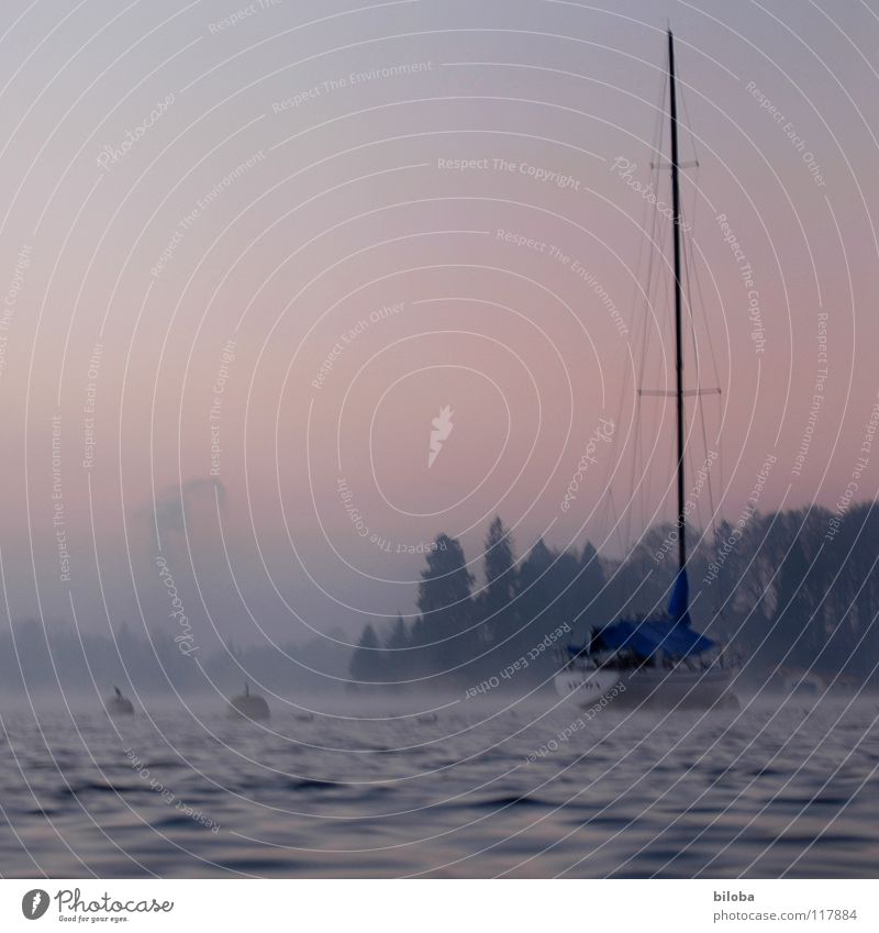 Boat III Watercraft Sailboat Liquid Cold Deep Lake Switzerland Waves Forest Fog Moody Untouched Harmonious Winter Calm Glide Body of water Expensive Weigh