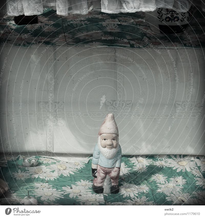 Short and sweet Garden gnome Flowery pattern Observe Looking Wait Small Retro Moody Happy Contentment Secrecy Caution Serene Patient Calm Self Control Modest